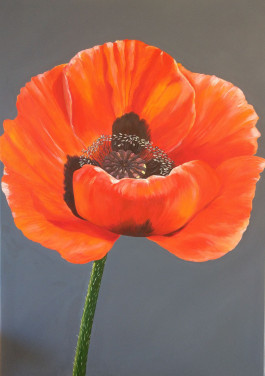Atelier Anke Schön